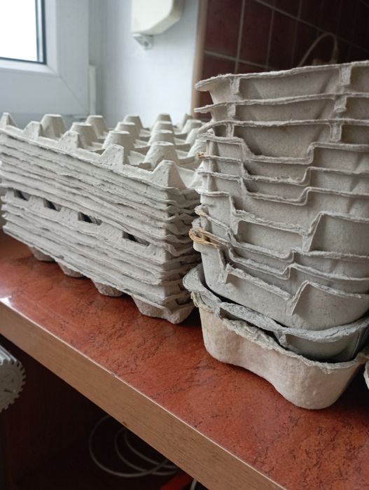 Wytlaczanki do jaj - 24 sztuki