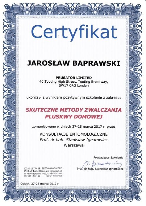 SKUTECZNE zwalczanie pluskwy, prusaki, osy - DEZYNSEKCJA ODPLUSKWIANIE