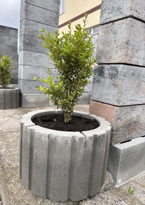 Квітник/ бетонний квітник/ цветник