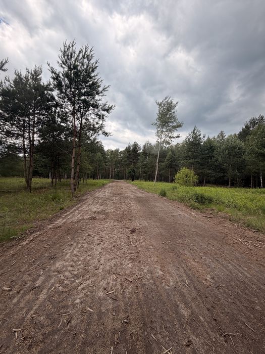 Promocja Wiosenna działki przy lesie PKP 2,5km 29km od Warszawy