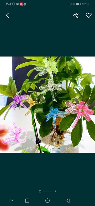 Затискачі(зажими) для квітоносів орхідей,