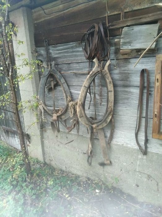 Uprząż dla konia