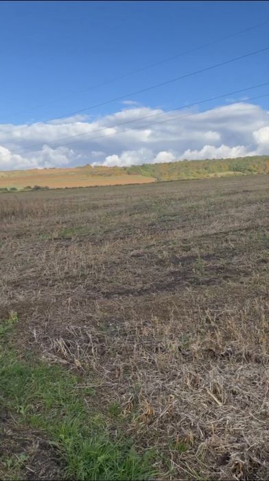 Терміновий продаж, Львів підходить під сонячні панелі, Власник!