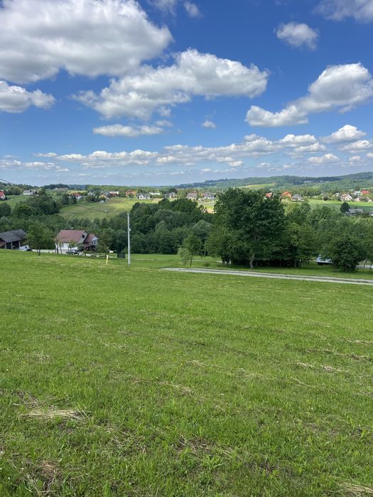 Sprzedam Działka Wola Nieszkowska 61 ar - View 5