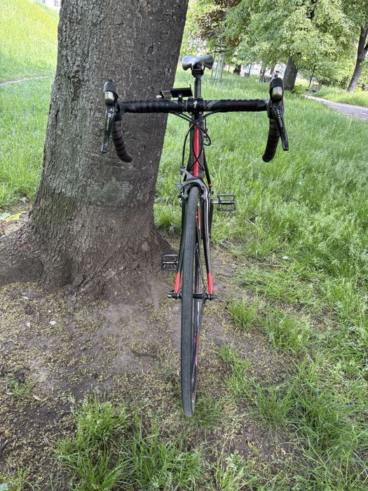 Rower szosowy wilier triestina rama 56