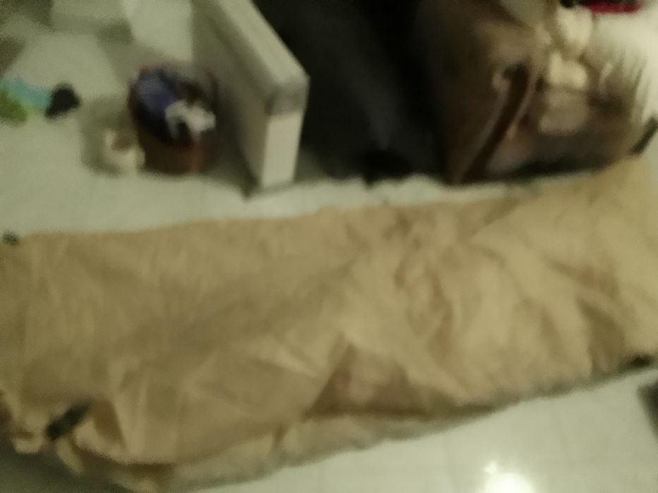 Material de Campismo tendas