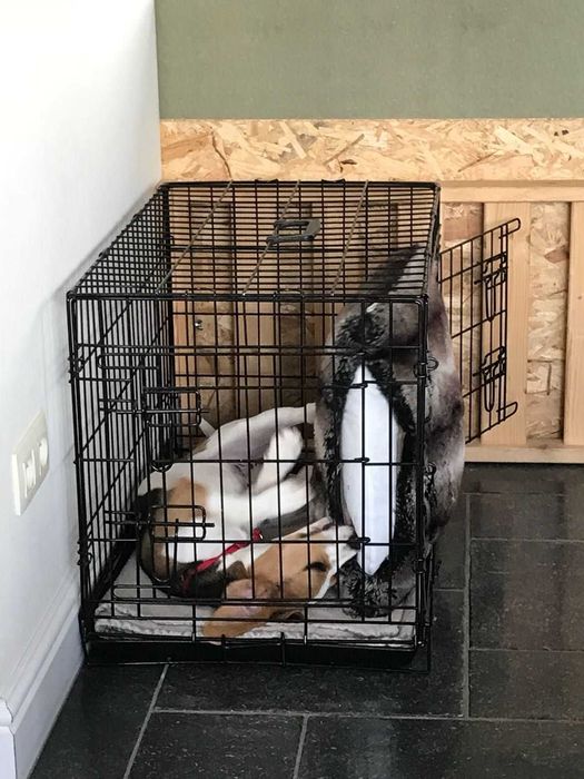 Переноска Польша клітка клетка для собак кошек x/s, S, M, L, XL, XXL