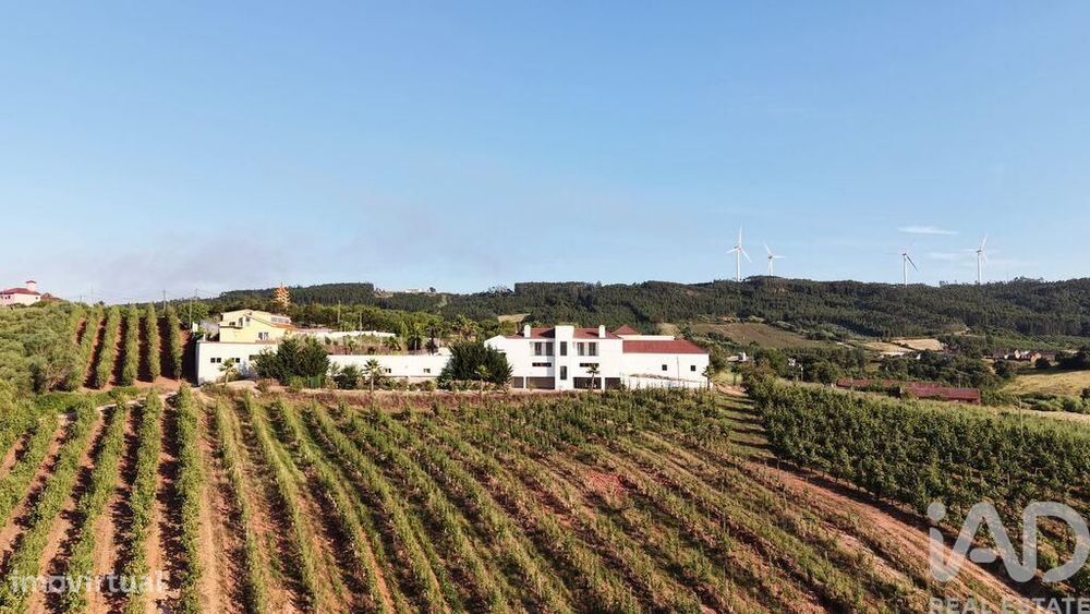 Quinta rural T10 em Caldas da Rainha - Santo Onofre e Serra do Bouro d