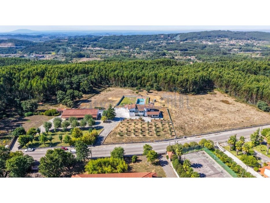 Quinta com 3,14 Hectares e Piscina | Ferreira do Zêzere