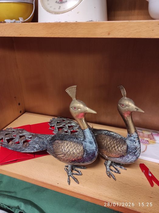 Pavão de bronze raricimo