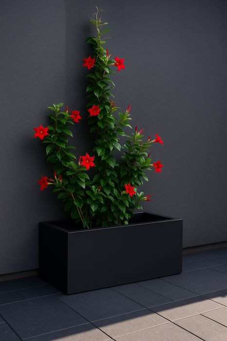 Donica skrzynia ogrodowa Elho