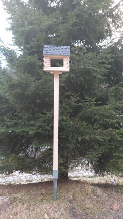 Karmnik dla ptaszków.