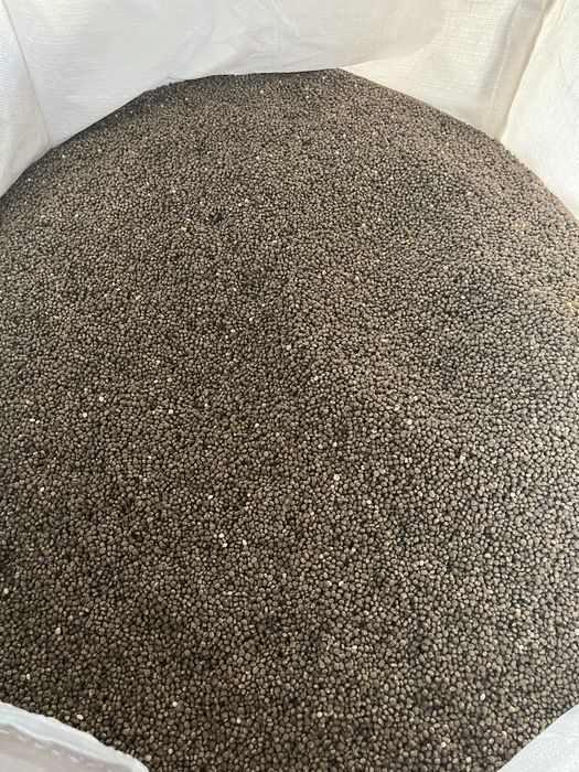 Łubin wąskolistny, wyczyszczony!