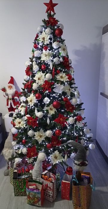 Świerk alpejski 220 cm