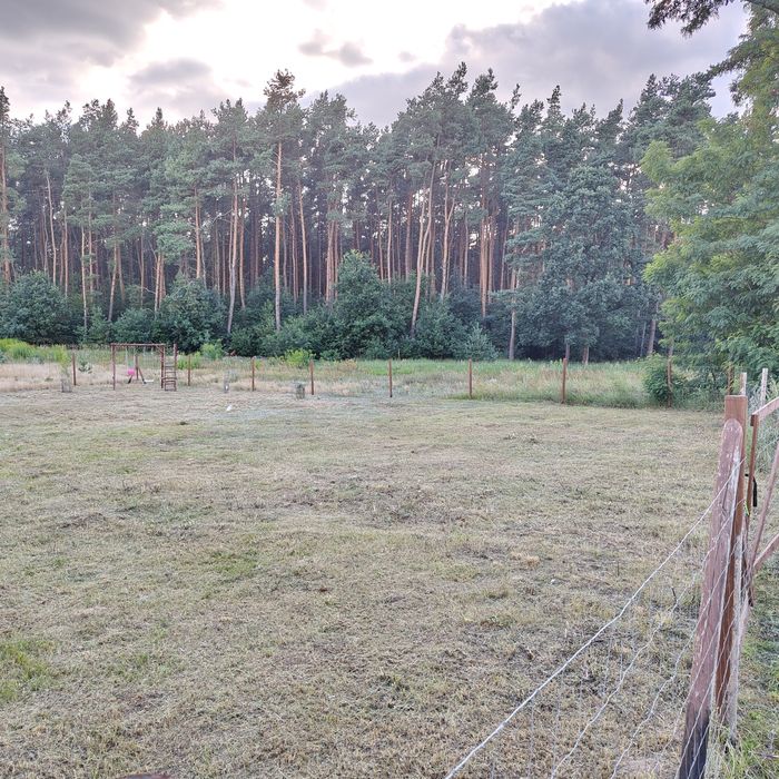 Działka budowlana pod lasem Wudzyn