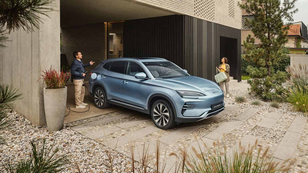 Zdjęcie w galerii numer 2