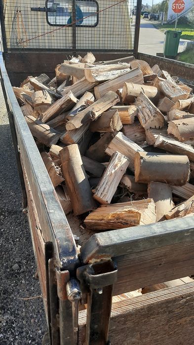 Lenha de eucalipto e sobro