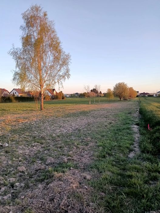 Kalinowice Dwie działki na sprzedaż( 8-12 arów) - Widok 4