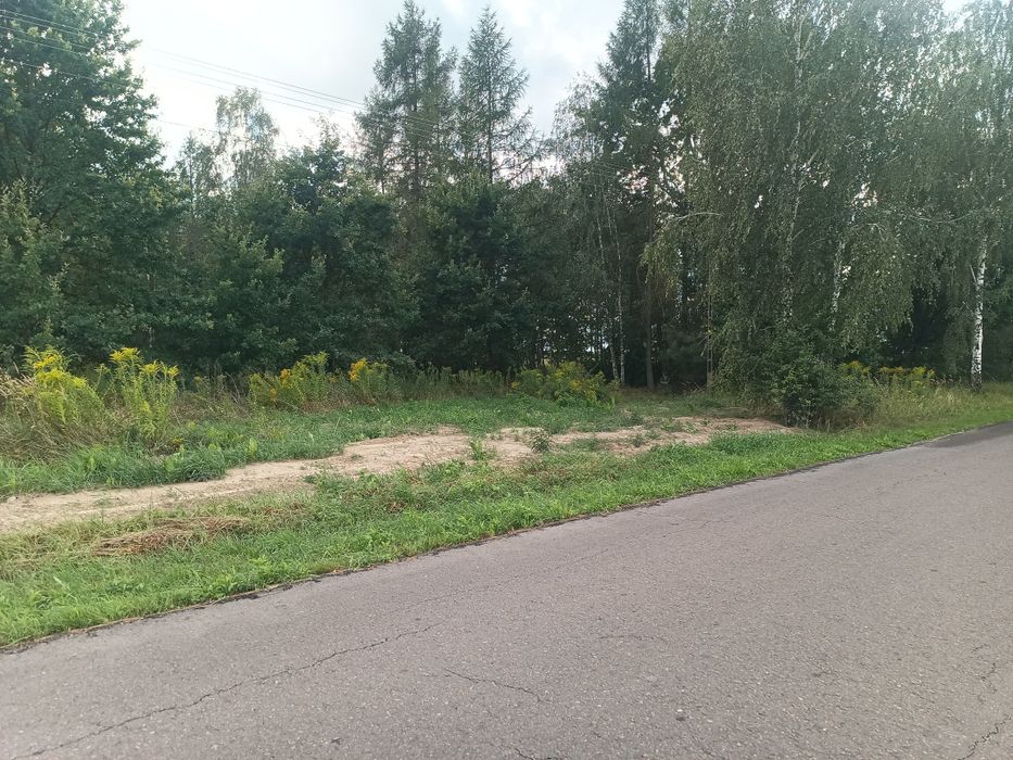 Zdjęcie 4