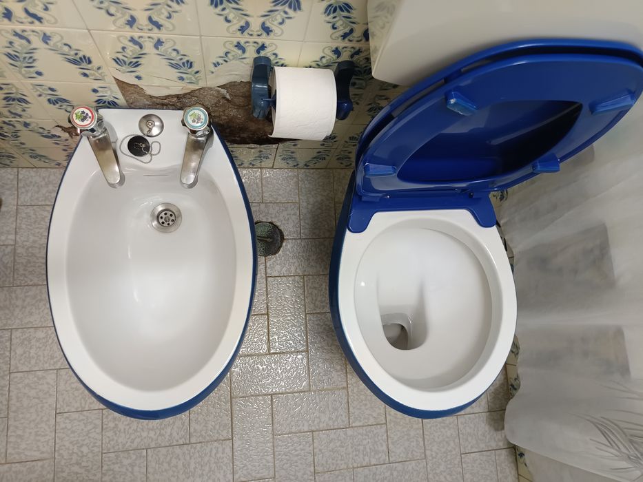Louças WC azul e branco