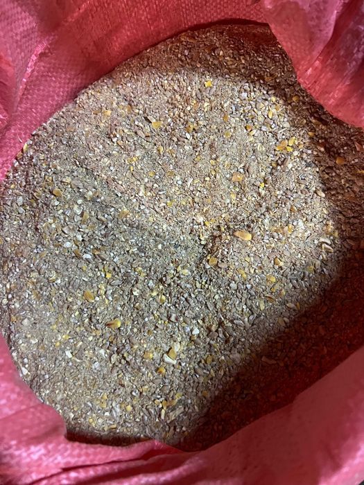 Pasza dla kur niosek