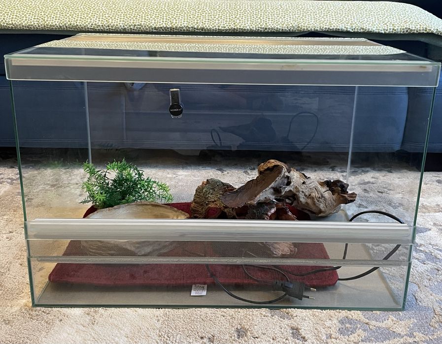 Тераріум + інші зоотовари