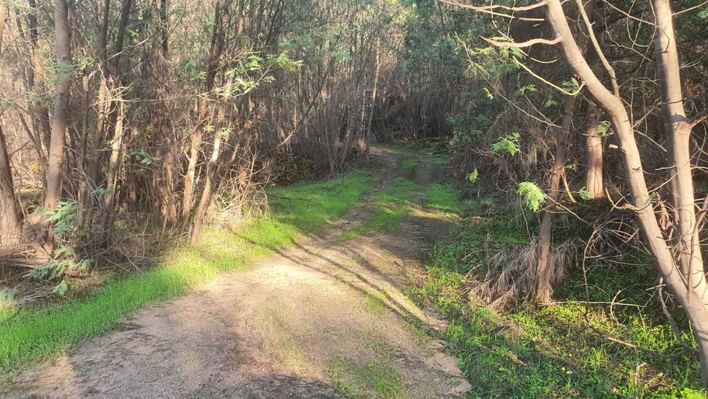 Propriedade com 6ha à Beira do Rio Mondego