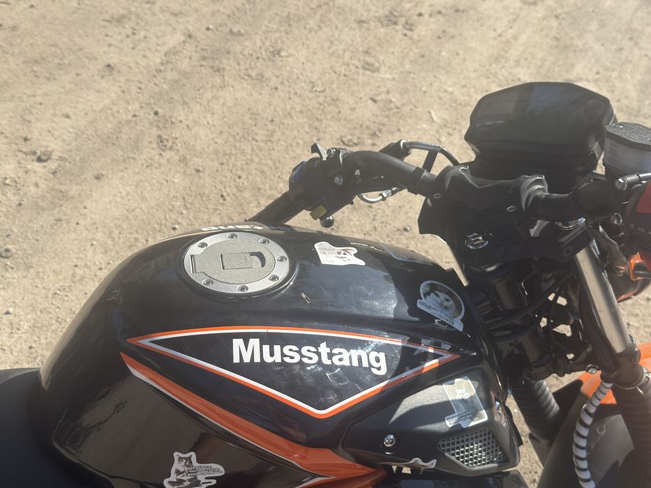 Мустанг хтрит250