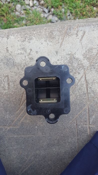 Пелюстковий клапан