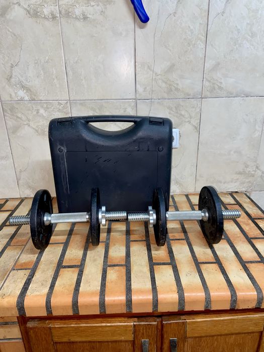 Halteres Musculação