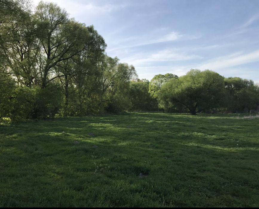 Земля, участок в Білогороці 8 сот