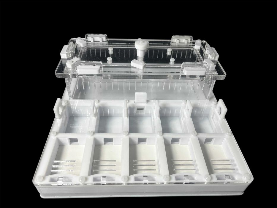 Білий формикарій для мурашок – стильний та функціональний – гипс г23