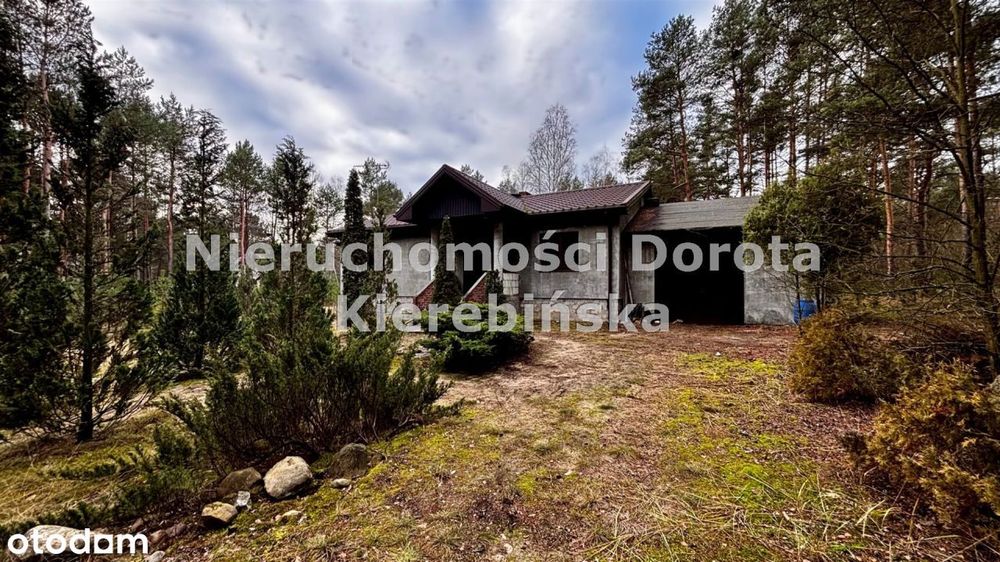 Domek całoroczny w Inowłodzu w otulinie lasów.
