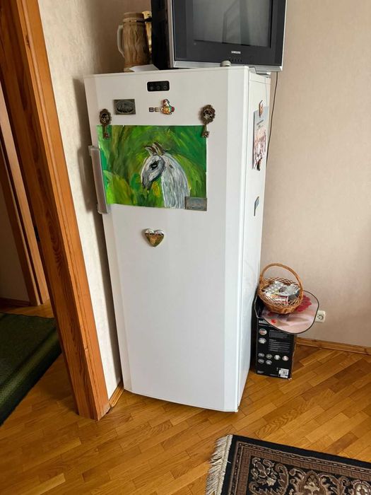 Продам морозилку Beko FS225300
