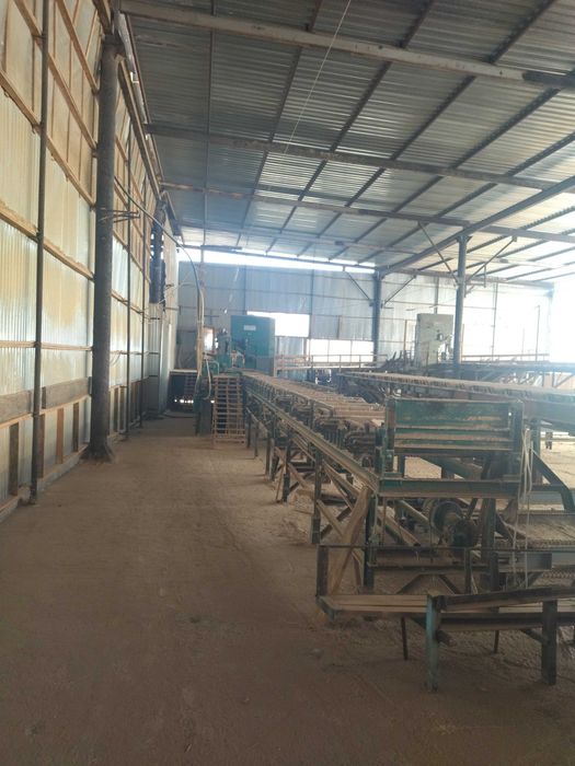 Вертикальна пилорама Primultini 1300