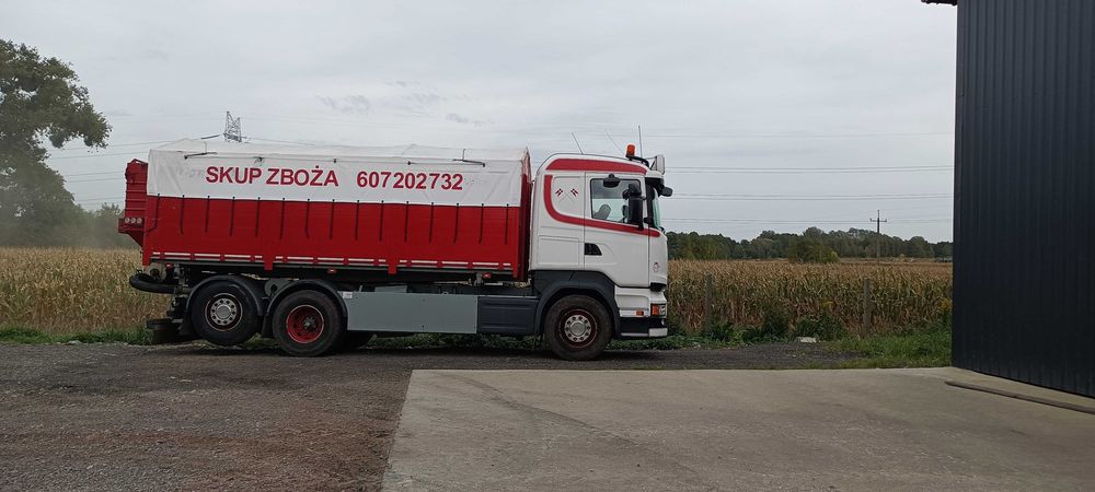 Całoroczny skup zboża 2025