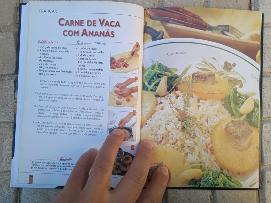 Livro - Para Bem Cozinhar Carnes