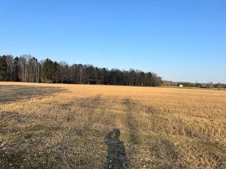 Działki budowlane – Zahajki | duże |7 min od Międzyrzeca Podlaskiego - Widok 2