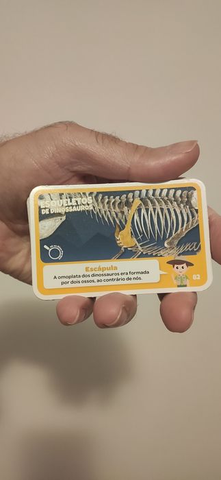 Caixa com Carteiras por abrir Colecção Super animais 3