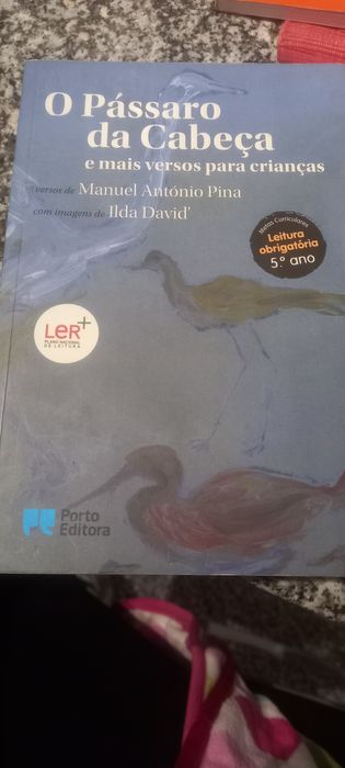 Livro O Passaro da cabeça