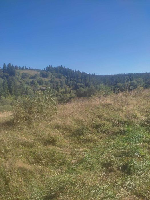 Продаж земельної ділянки у мальовничому селі Верхнє Висоцьке