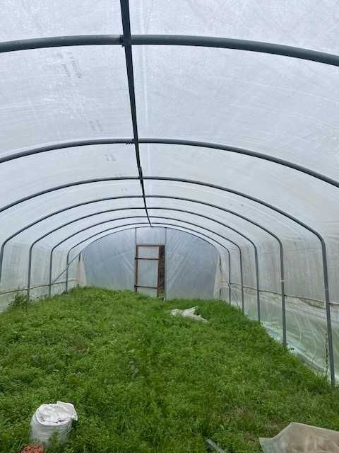 15 m polytunnel estufa