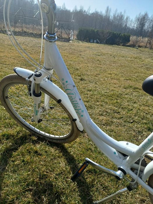 Rower Unibike Princess 24