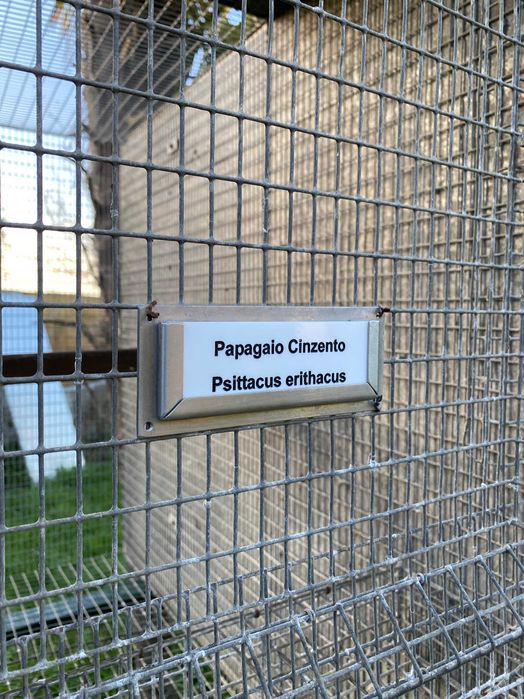 Vendo Gaiolas para Papagaios Completas