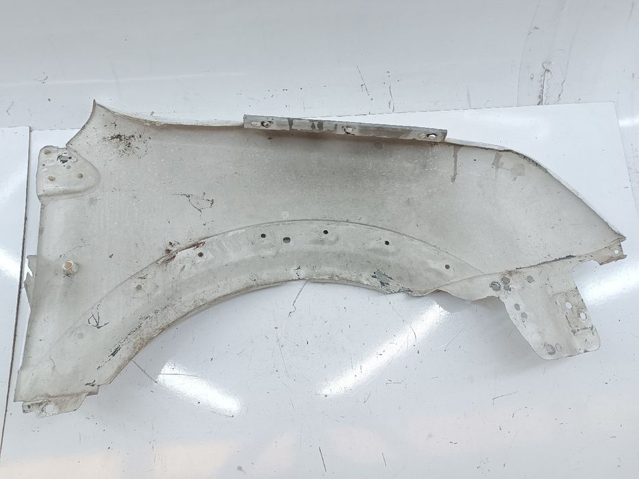 Guarda Lamas Esquerdo - FORD Transit Connect (P65_, P70_, P80_) | 02 -