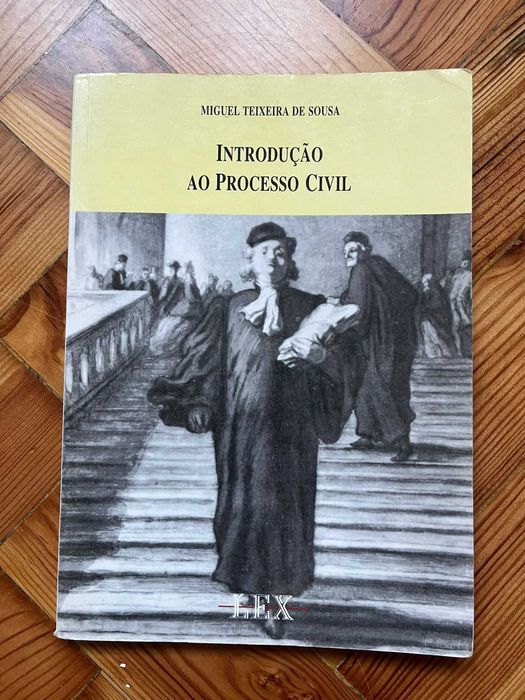 Introdução ao Processo Civil - Miguel Teixeira de Sousa