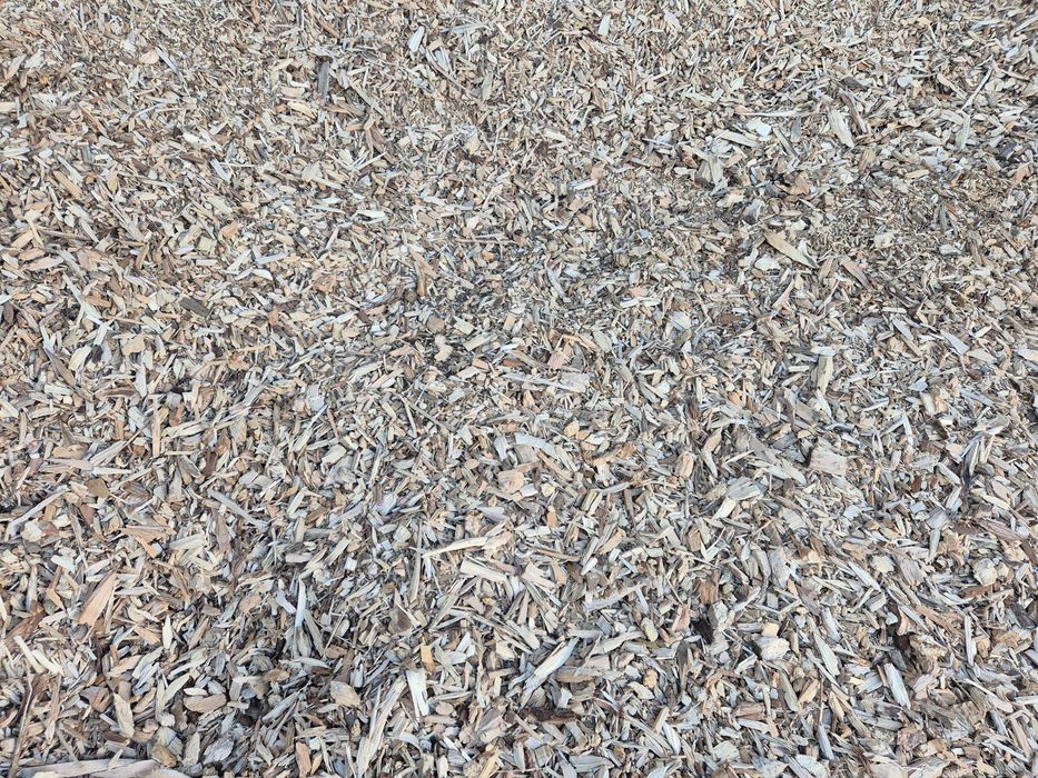 Zrebka sucha  z drzew liściastych i iglastych  bardzo sucha