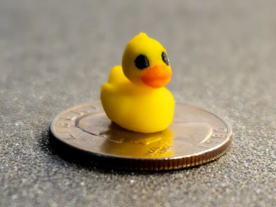 The World's Smallest Rubber Duck