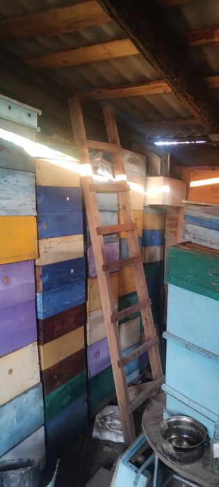 Продаю пусті вулики та різне обладнання для бджільництва