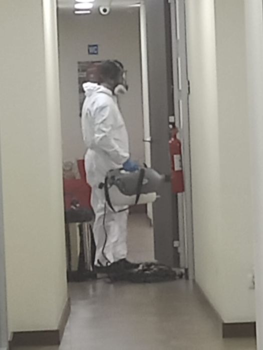 Desinfestações 24h